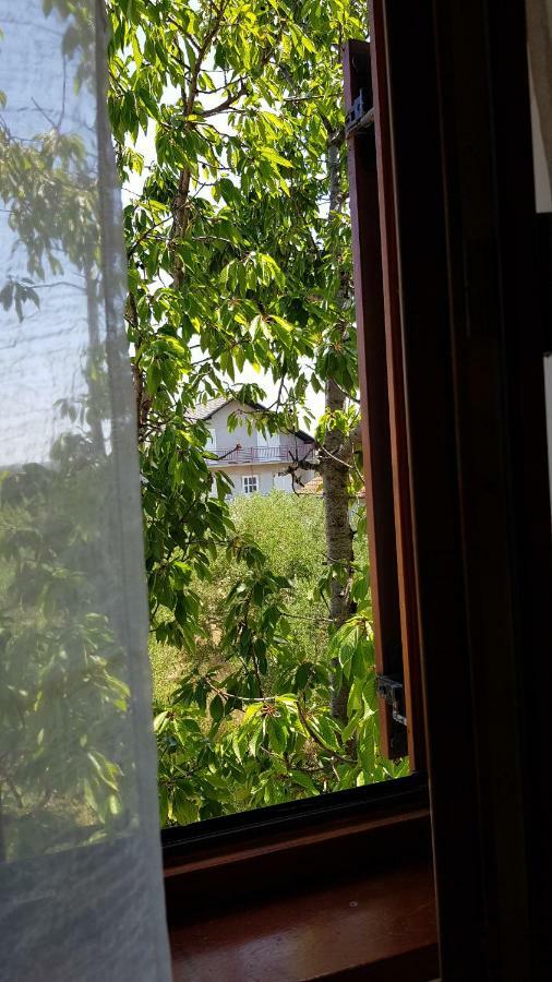 Villa Letina Sukošan 外观 照片